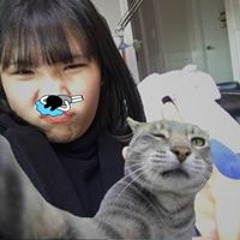 정연