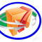 MNTS GROUP