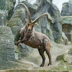 keyboardkeyboard515@gmail.com