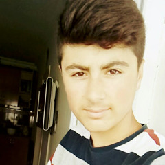 yasin mercan