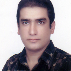 Mohamad Ali Rafizade