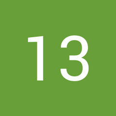 13 Gang