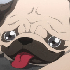 PuGS Echo
