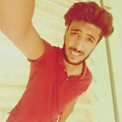 Badr Mohamed
