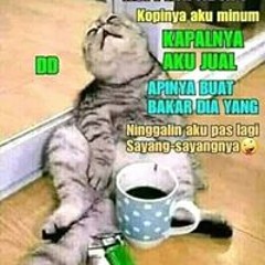edi