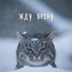 Арман Мухамедьяров