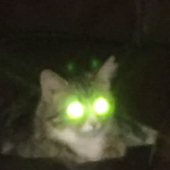 Timeline expanded edition - 9