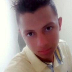 Ernandes gs