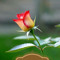 Sachin Powar