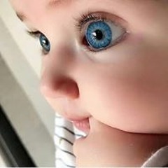 Amer Noor
