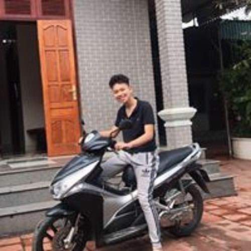 Nguyễn Hùng Việt’s avatar