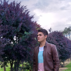 Tomás Piñeros Wilches