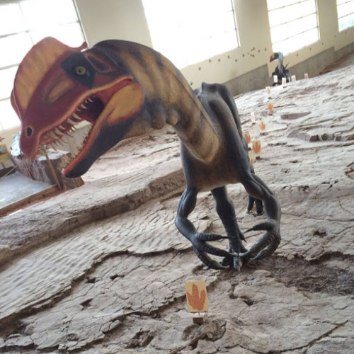 Dinosaur Education’s avatar