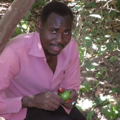 yasir obied