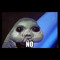 Narwhale_506