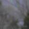 User 75021436