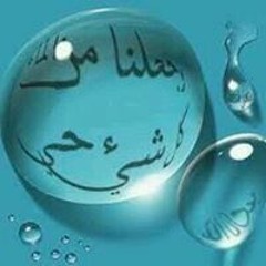 محمد عمار