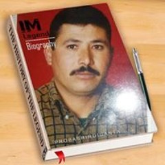 محمد ابو باشا