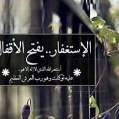 عمرو السيد