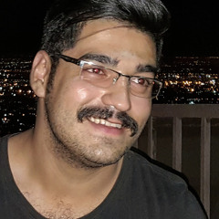 mohammad enayati
