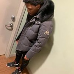 Ant Boogie
