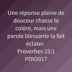 user415067834