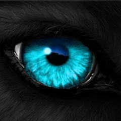 LONE WOLF