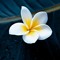 s062427@student.mnu.edu.mv