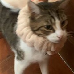 Nguyễn Hữu Thắng