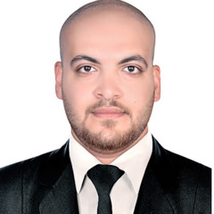 mohamed mostafa