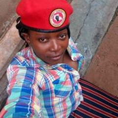 tonnierebel