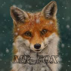 Mr_ FoX