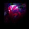 AntiZeroAlike