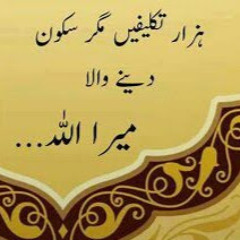 Mohsin Mustafa