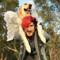 Markiplier Lover Forever
