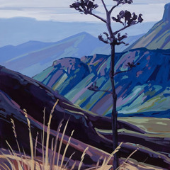 coldyams