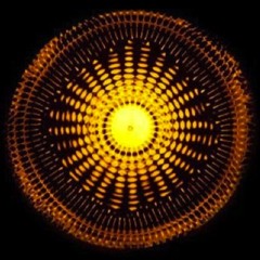 Mukunda Agni