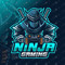 Hype Ninja