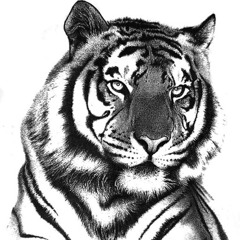 ابتسام القحطاني