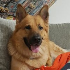 Basel Wasouf