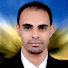 Romany Nessim