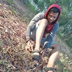 Mr Afif