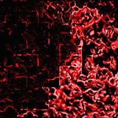 Borik Acid