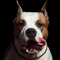 User 161055186