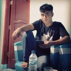 dedembull