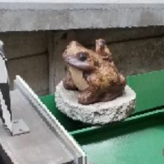 あなきん