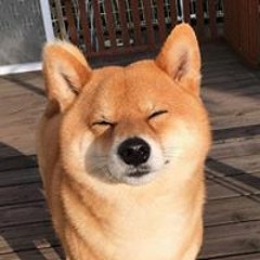 Yung Lu