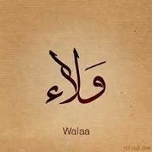 Walaa Mostafa’s avatar