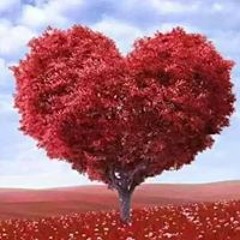 بركات الصعيدى