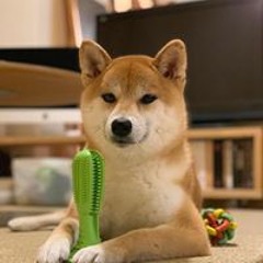 김빛